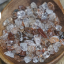 Quartz Rutilated
