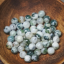 Tree Agate